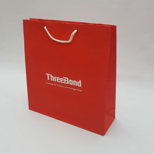 Retail Shopping Bags